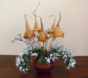 Untitled1